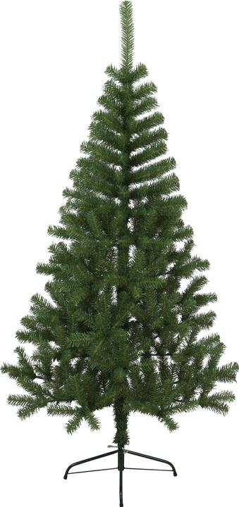Immagine prodotto Star Trading Kanada (180 cm)