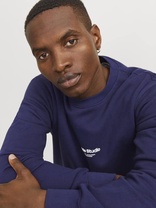 Produktbild Jack & Jones Gedruckt Sweatshirt Sweatshirt (XS)