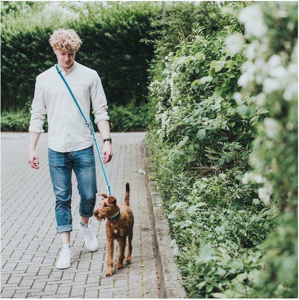 Produktbild Hunter Verstellbare Führleine Hilo (L, Hund, Hundesport)