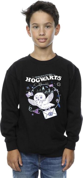 Actual product image Boys Owl Letter From Hogwarts Sweatshirt (152, 158)