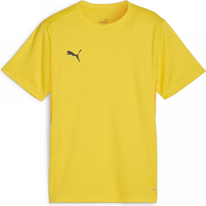 Actual product image Puma teamGOAL Jersey Jr (164)
