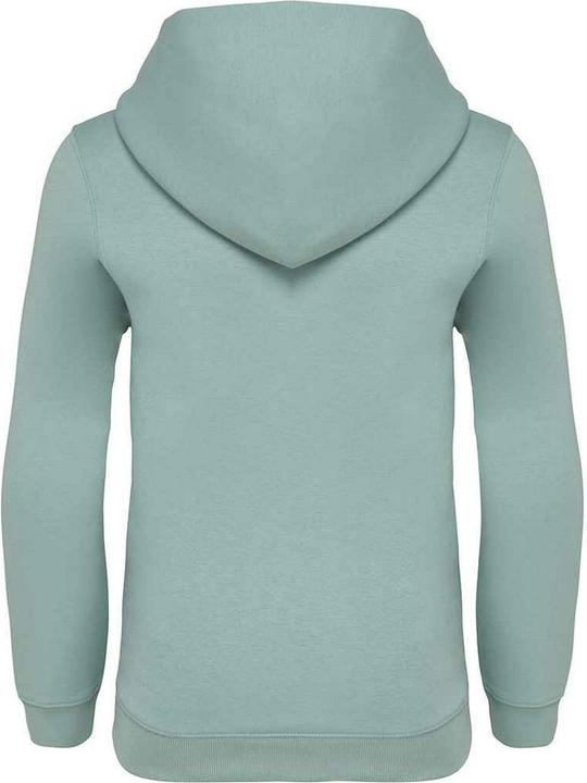 Actual product image Native Spirit Hoodie (110, 116, 115 A)