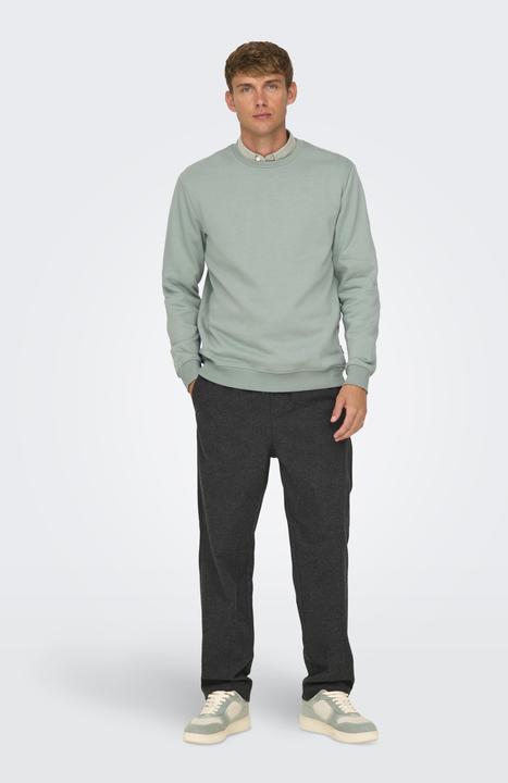Produktbild Only & Sons Onsconnor Reg Crew Neck Sweat Noos (XL)