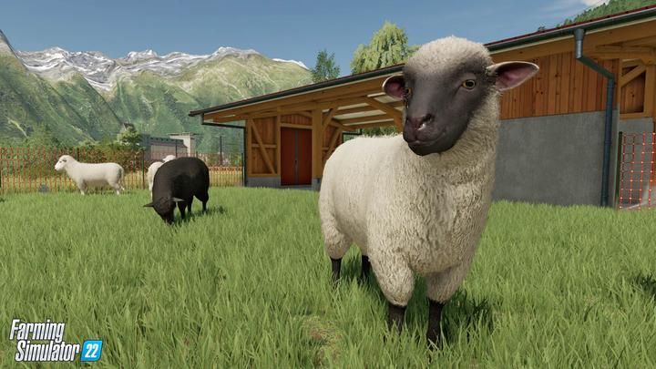 Actual product image Giants Software Farming Simulator 22 (PS4, FR, IT)