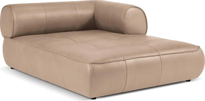 Dark Beige