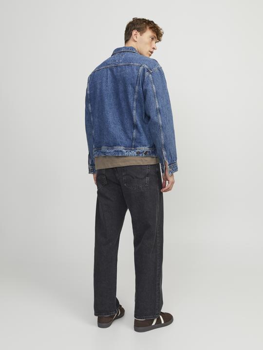 Actual product image Jack & Jones Alex Original SQ 737 Loose Fit Jeans (W31/L32)