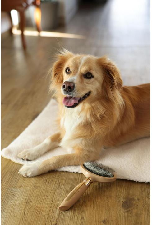 Image du produit Magic Brush Brosse à poils doux pour chien (Chien)