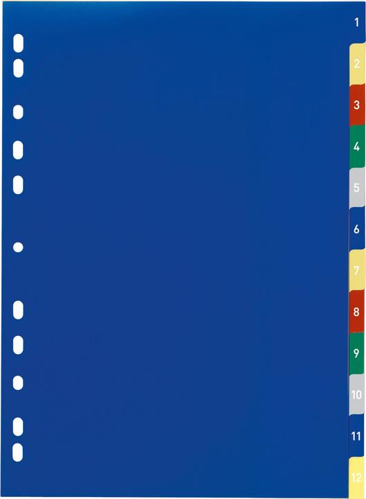 Immagine prodotto Durable Registri PP, varie versioni, singolo