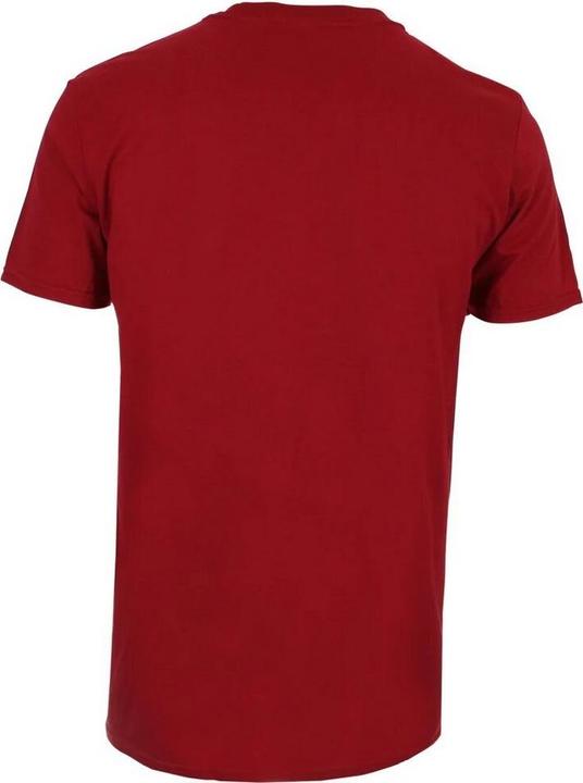 Produktbild The Flash Tshirt (M)