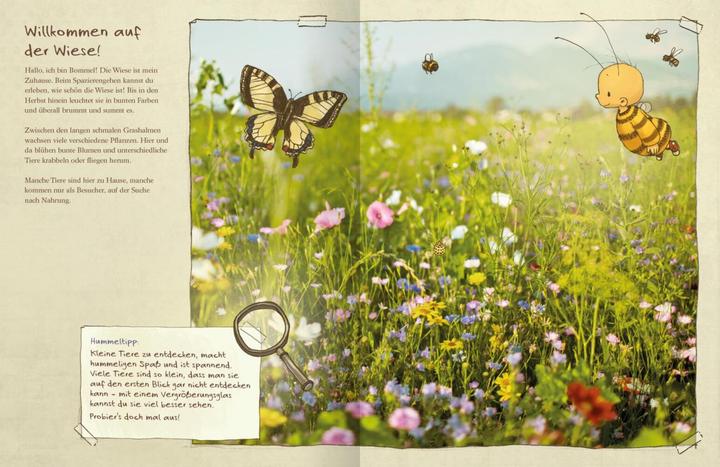 Image du produit Die kleine Hummel Bommel entdeckt die Wiese (Allemand, Britta Sabbag Sabbag, Maite Kelly, 2019)