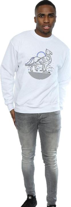 Produktbild Buckbeak Line Art Sweatshirt (L)