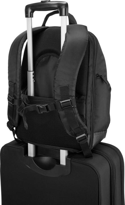 Actual product image Targus Campus Backpack (26.15 l)