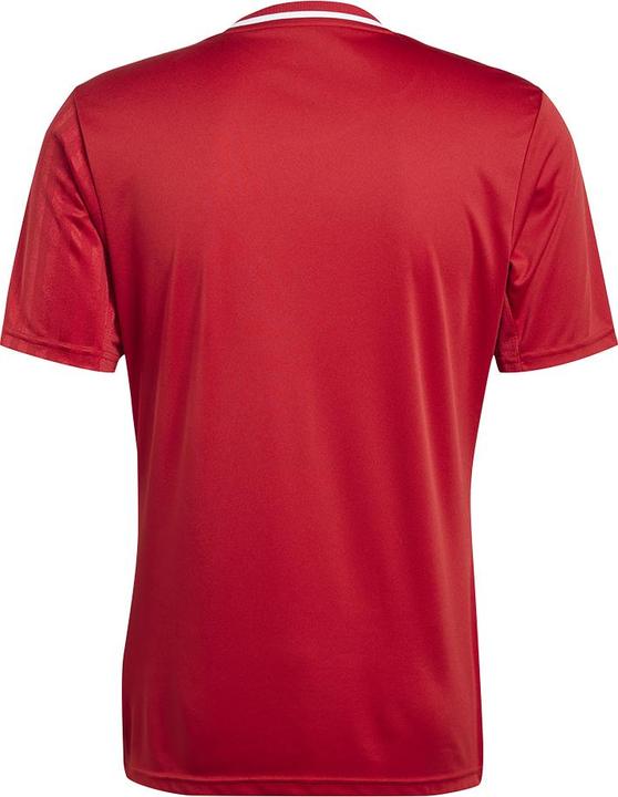 Image du produit adidas Maillot Campeon 25 (L)
