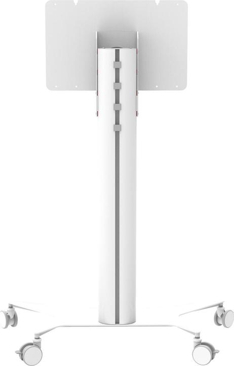 Actual product image Celexon Expert Display Trolley Seoul for Samsung FLIP (65", 50 kg)