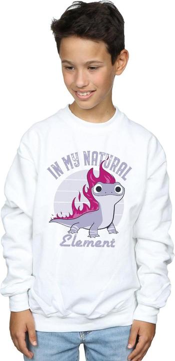 Produktbild Disney Frozen 2 Salamander Bruni Element Sweatshirt Jungen (104)