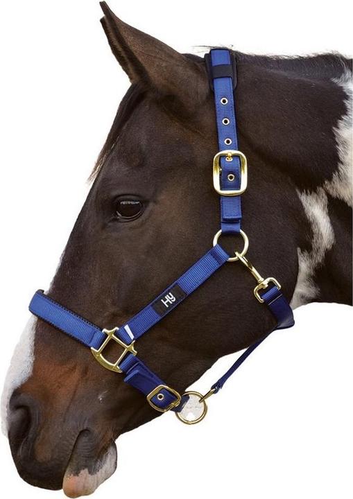 Hy Health Hy Deluxe Halfter gepolstert