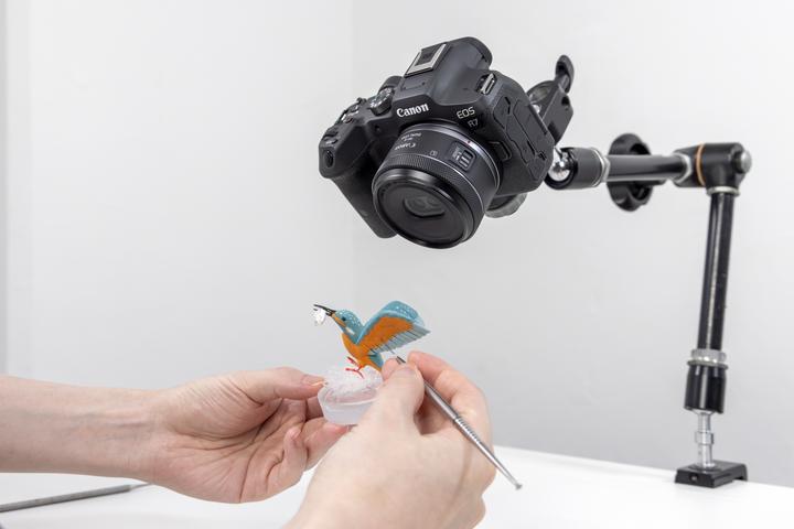 Actual product image Canon RF-S 7.8mm F4 STM Dual (Canon RF-S, APS-C / DX)