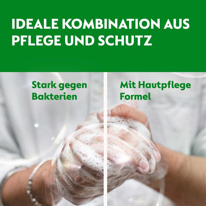 Actual product image Dettol No Touch (Liquid soap, refill, 250 ml)