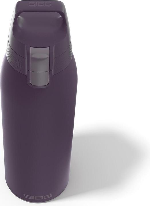 Productafbeelding Sigg Geïsoleerde fles Shield Therm One 1 l (1 l)