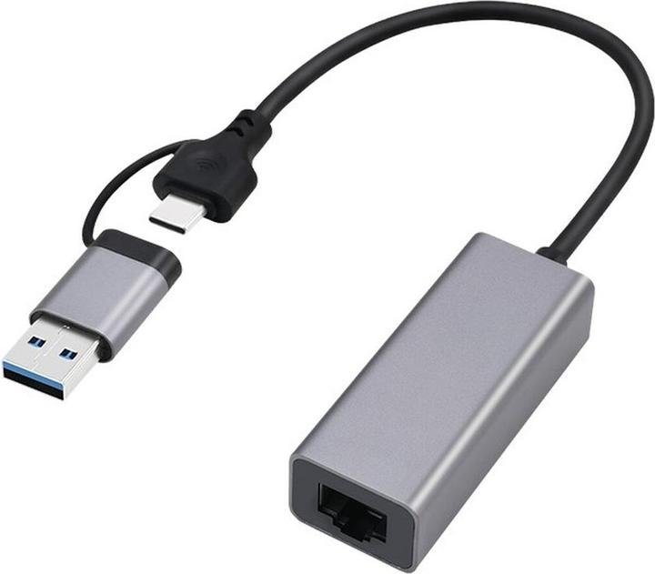 Gembird Adaptateur réseau Gigabit USB-A + Type-C (RJ45 (1x))