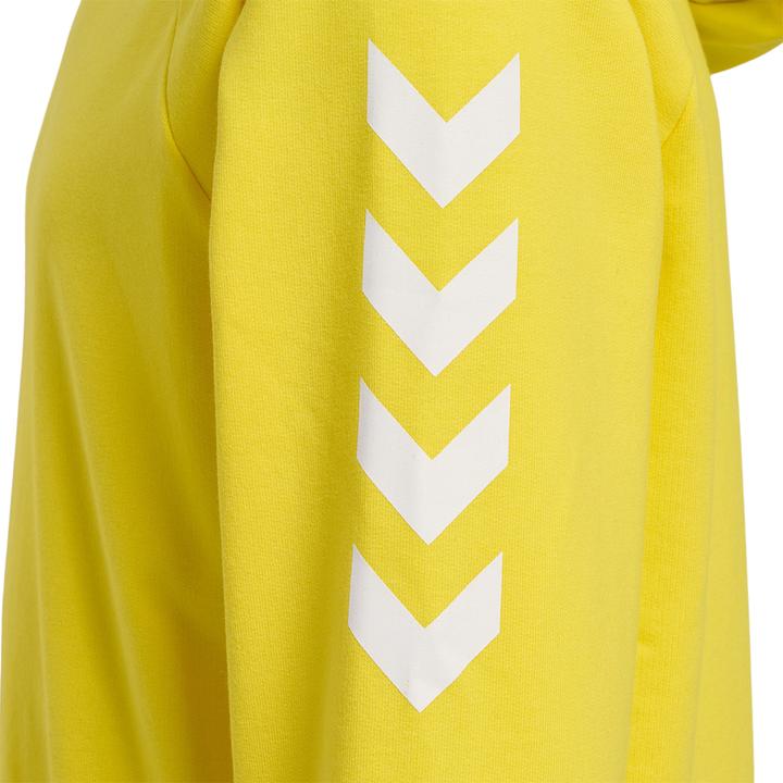 Image du produit hummel Go Kids Hoodie En Coton (164)