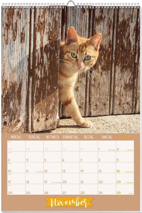 Katzen Posterkalender 2025 (Deutsch)