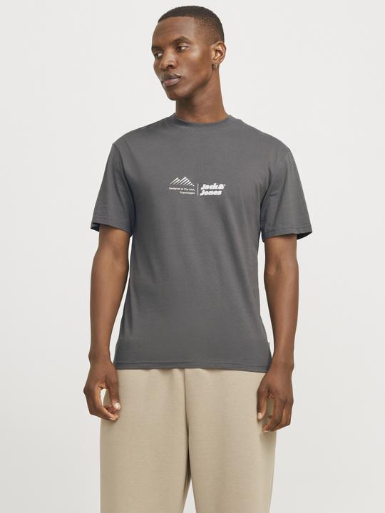Actual product image Jack & Jones Jcolima Logo Tee Ss Crew Neck Bf Ln (L)