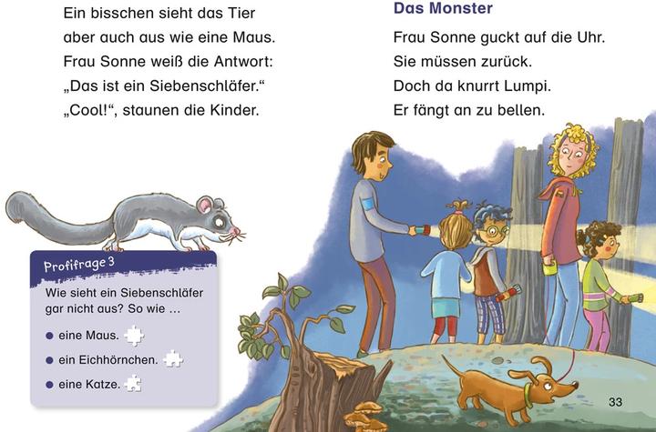 Produktbild Duden Leseprofi – Die geheimnisvolle Nachtwanderung, 1. Klasse (Deutsch, Alexandra Fischer-Hunold, 2021)
