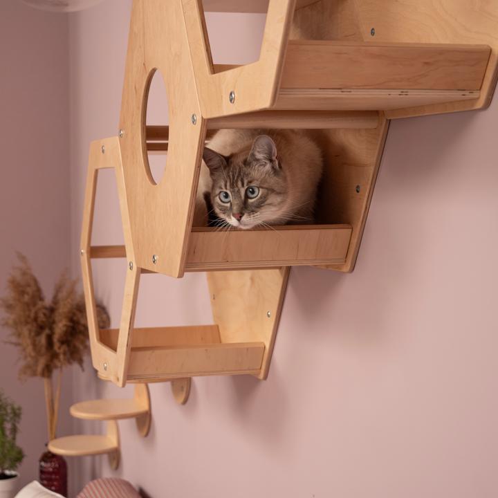 Image du produit Wowhelperco Aire de jeux murale pour chats 8 pièces (Nature)