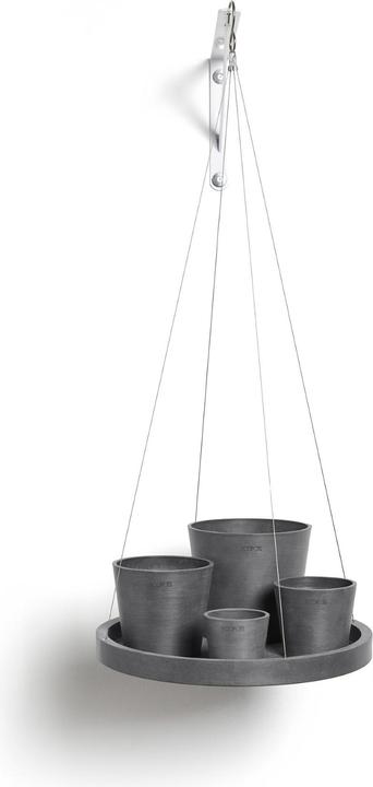 Dgrey, Grey