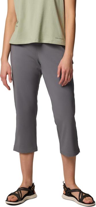 Gris citadin