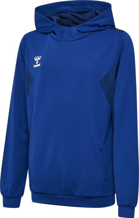 hummel Hmlauthentic Pl Hoodie Kids