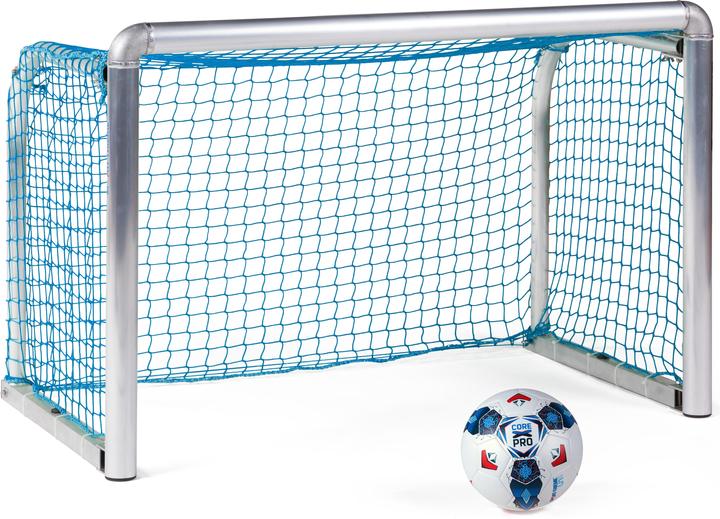 Sport-Thieme Mini-Trainingstor Protection