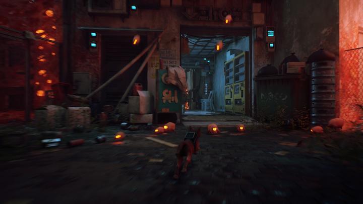 Image du produit Annapurna Interactive Stray (PS5, EN)