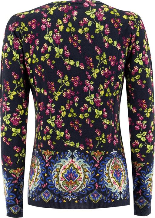 Image du produit Etro Sweater (46)