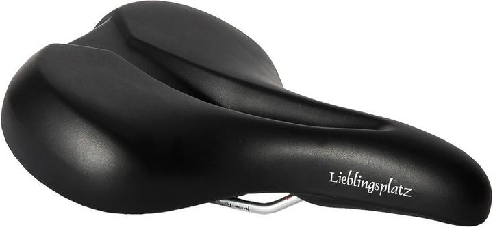 P&P Procycling Lieblingsplatz 650