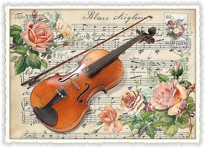 Actual product image Edition Tausendschön Postkarte / Violine / quer / blanko