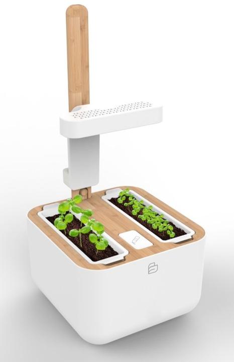 Image du produit Véritable Botaneo Eylo (18.40 cm)