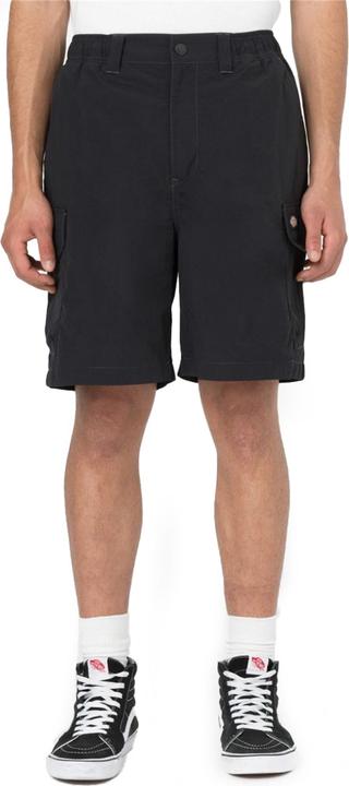Produktbild Dickies Jackson Cargo Shorts (S, L)