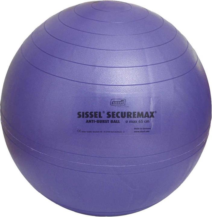 Actual product image Sissel Securemax (55 cm)