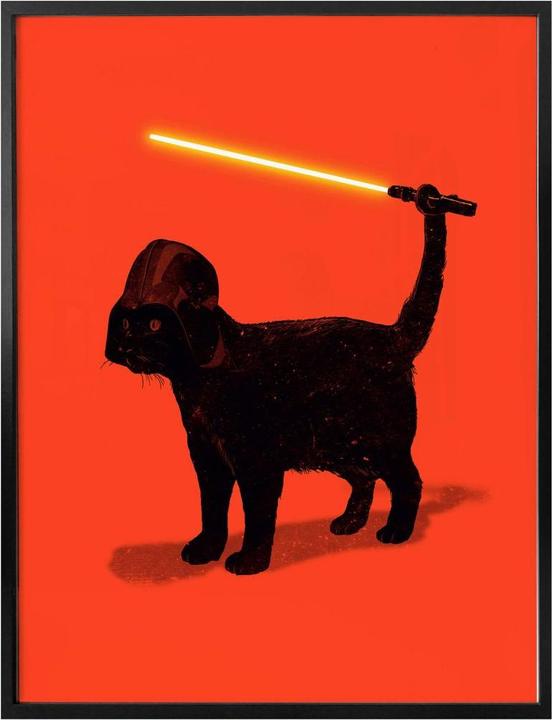 Produktbild Trenddeko Cat Vader (40 x 50 cm)