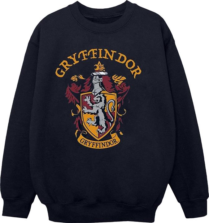 Boys Gryffindor Cotton Sweatshirt