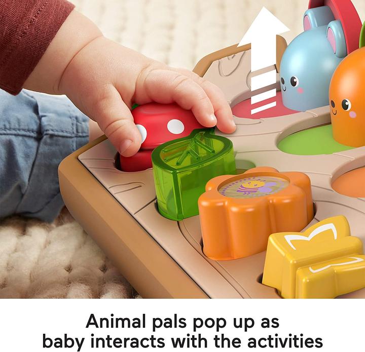 Actual product image Fisher-Price Peekaboo (German)