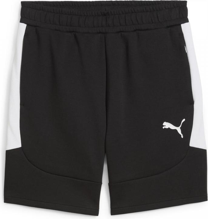 Puma teamEVOSTRIPE Shorts
