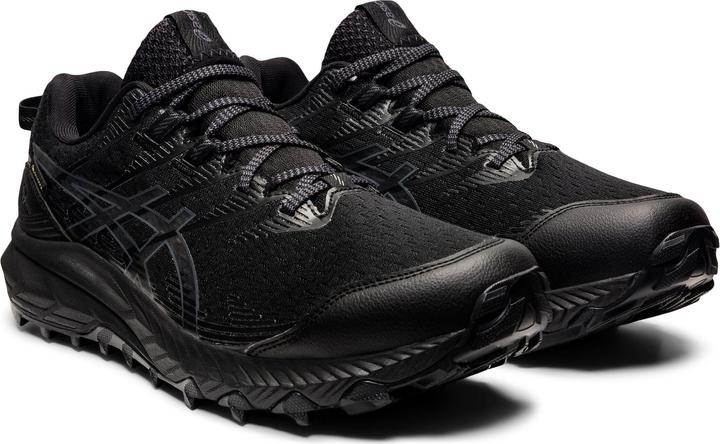 Produktbild ASICS Performance Gel-Trabuco 10 GTX (40)