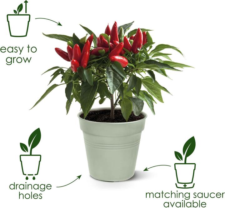 Image du produit Elho Green Basics (19 cm)