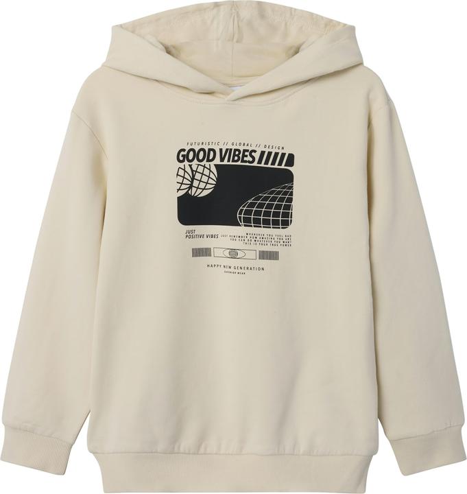 Name it Regular Fit Hoodie (116)
