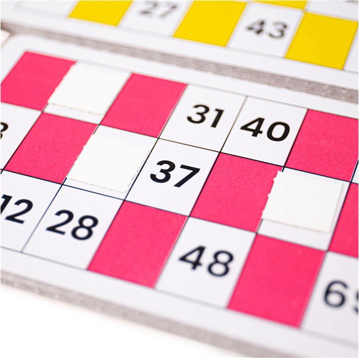 Actual product image Bigjigs Bingo game (English, German, French, Italian)