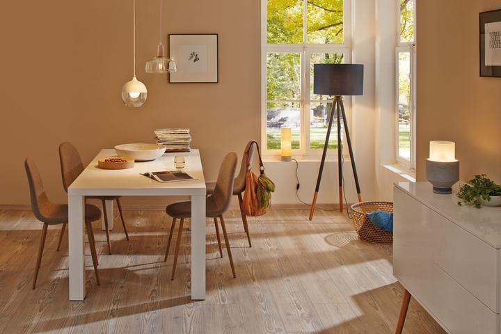 Immagine prodotto Paulmann Lampada per uso generico (E27, 13 W, 1521 lm, 1 x, E)