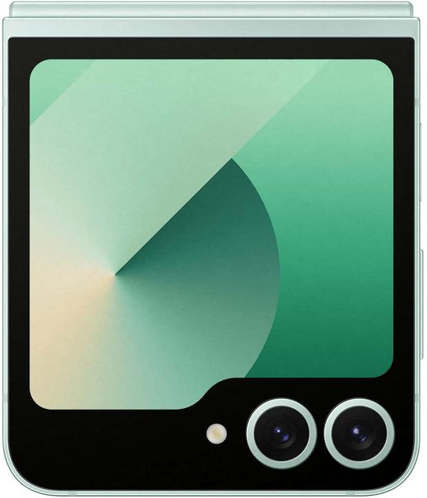 Immagine prodotto Samsung DUPLIKAT Galaxy Z Flip6 (256 GB, Verde menta, 6.70", SIM + eSIM, 50 Mpx, 5G)